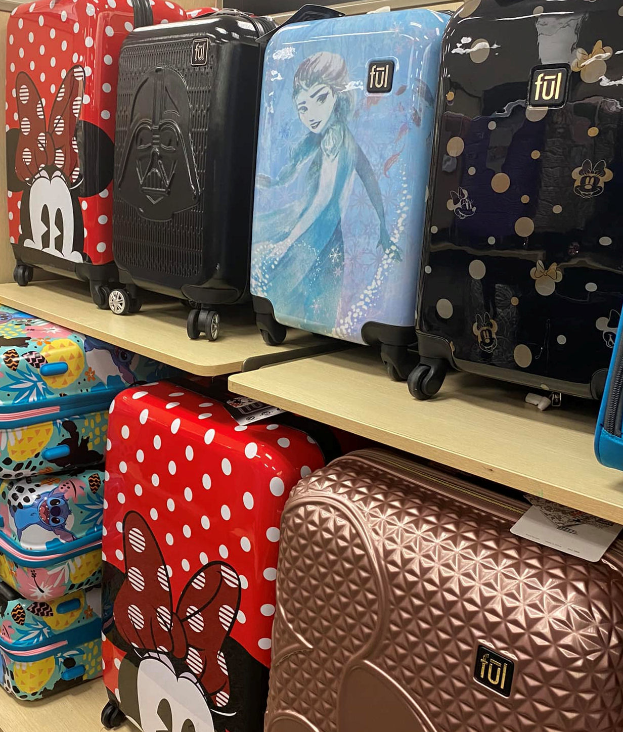 Finding Disney Luggage