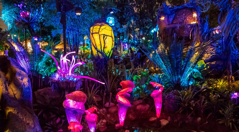 Pandora – The World of Avatar: An Immersive Expedition at Disney’s Animal Kingdom