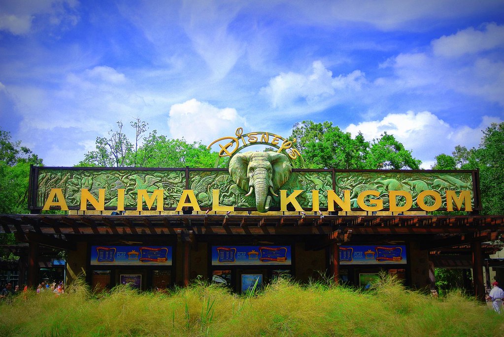 Disney world animal kingdom