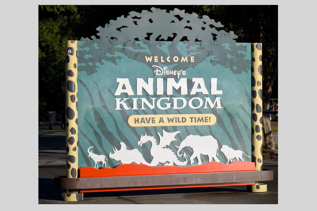 animal kingdom walt disney world