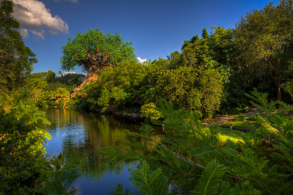 A Day in Discovery Island: The Vibrant Heart of Disney’s Animal Kingdom