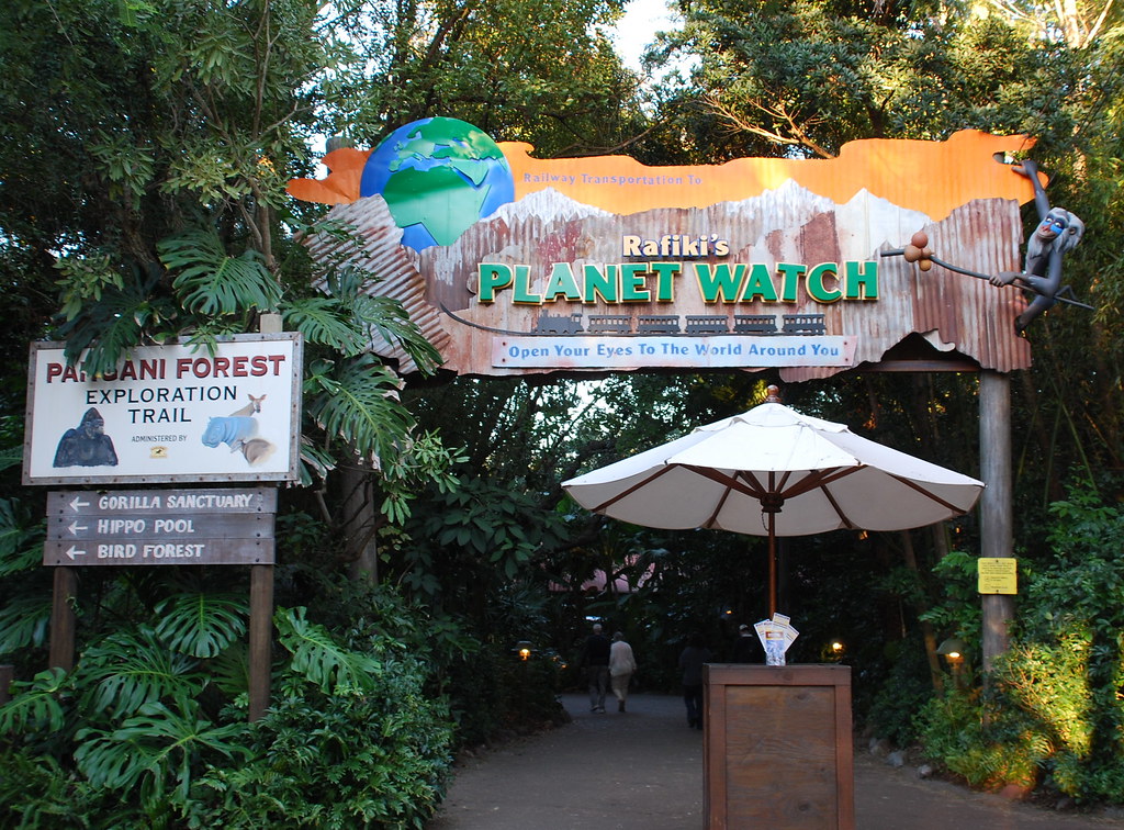 rafiki planet watch animal kingdom