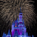 disney family activity fireworks